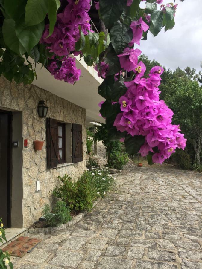 Villa De Fujacos Valenca Exteriör bild